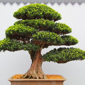 1110（Prod. FaunmU）