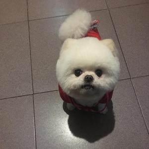 一半（翻自 谦谦）