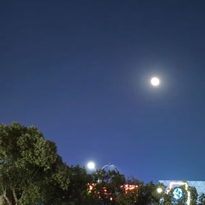 我会一直在……