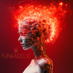 FUNKADELIC (Radio Edit)