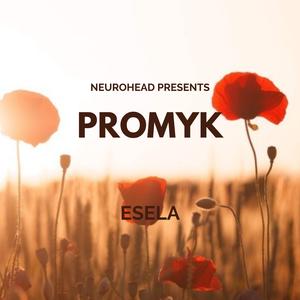 PROMYK