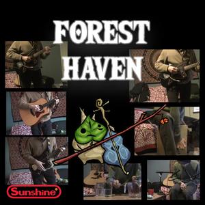 Forest Haven - Out and In