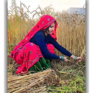 Rodu Thari Bhayelya N Fone Kare N Jo Gehi Lawani Aaga (Surjan Meena)