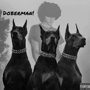 DoberMan!