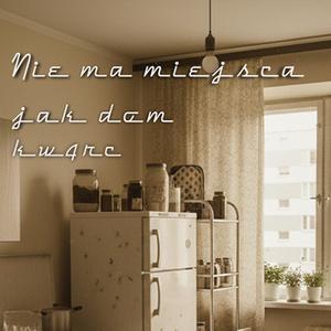 Nie ma miejsca jak dom (feat. SeReK)