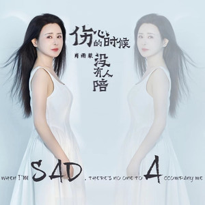 伤心的时候没有人陪 (深情版伴奏)