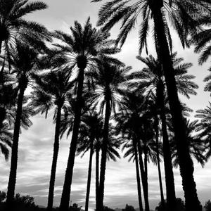 Coldplay-Adventure of a Lifetime