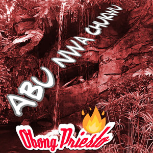 Abu Nwa Chukwu