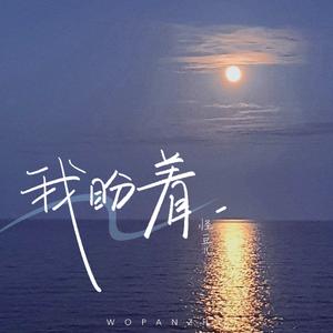 我盼着（加速版）