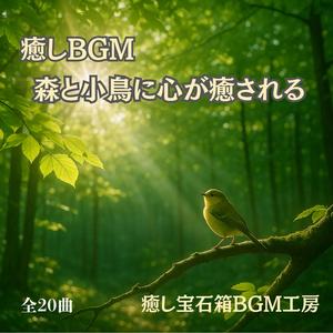 静かな音楽と光の粒が舞う森の調べ