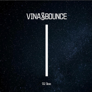 DJ Ikon-VINA BB(IKON REMIX)（DJ Ikon remix）