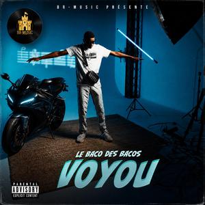 Voyou