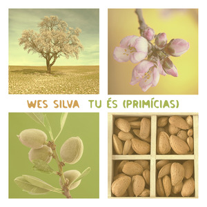 Meu Maestro (My Master)