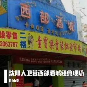 沈阳西部酒城2013年DJ阿宁现场DJ宇仔