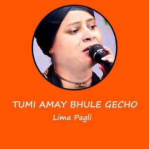 Tumi Amay Bhule Gecho
