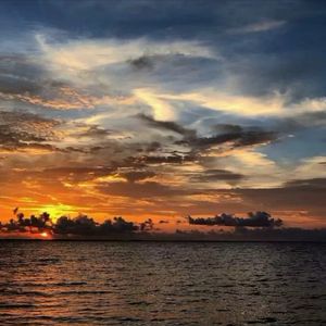 我痛饮生活这杯烈酒 (高潮版)