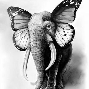 我该记得你的眼睛和手心