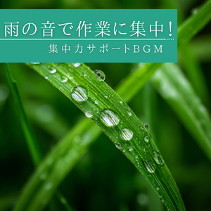 リモートワークに最適！集中力維持BGM (雨音)