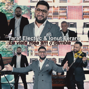 La viata mea am o dambla