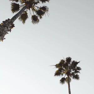 大籽-放空(Remix)