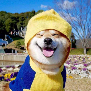 剑魂（魔性版）