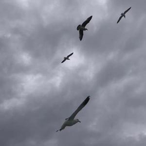 Fire Man（Original Mix）