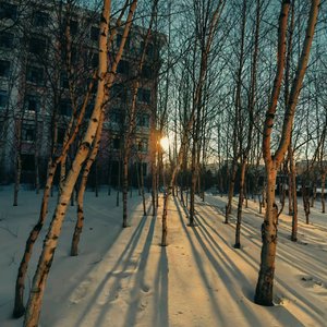 封建思想太迷信
