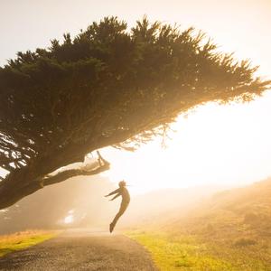 忍住（我把想念忍住）