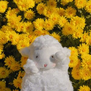 时光如梦似幻 (热播版)