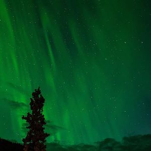 流水虫鸣声 深度睡眠音乐