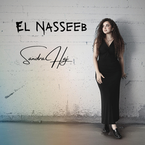 El Nasseeb