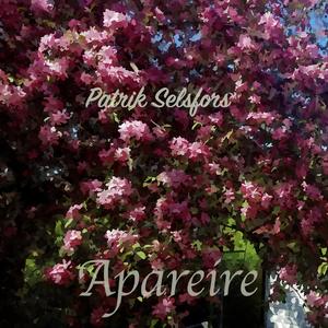 Apareire (feat. Mathias Karlsson: Bas & Joel Selsfors: Klaviatur)