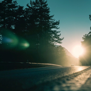 여름이 가을에게