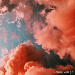 Before You Go