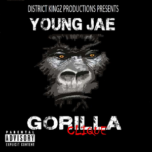 Gorilla Clique