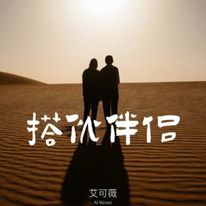搭伙伴侣