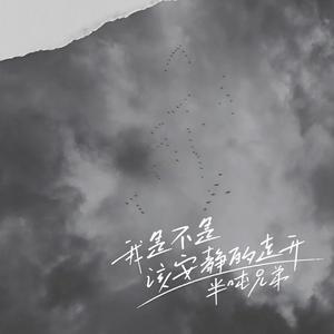 我是不是该安静的走开 (DJ九零版)