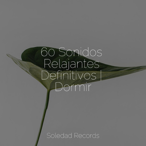 Prados Calmados
