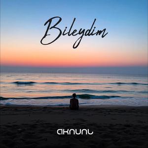 Bileydim