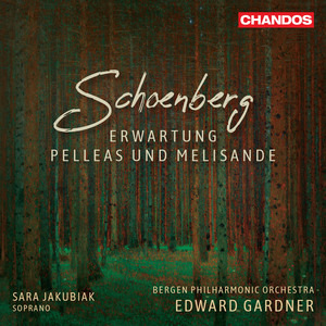 Pelleas und Melisande, Op. 5: Sehr langsam - Nach und nach beschleunigen.