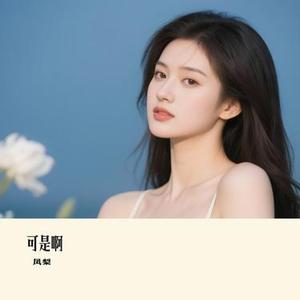 可是啊 (凤梨 Remix)
