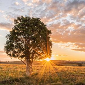 Memories (Country Instrumental Beat )