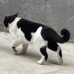 陷雨（Prod By Ljx Ghost）