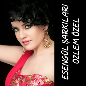 Anlamıyorsun Gönül Dilinden