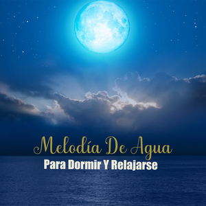 Nos Distrae De Nuestras Preocupaciones