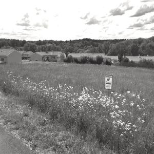 Lotissement