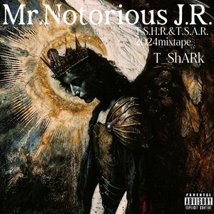 全视之眼freestyle