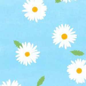 我们打着光脚在风车下跑，手上的狗尾巴草摇啊摇