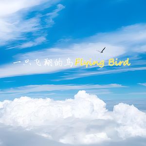 一只飞翔的鸟
