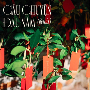 Cảm Ơn (Remix)